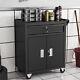 Workshop Storage Trolley Drawer Tool Box Cabinet Door Service Cart Chest +handle